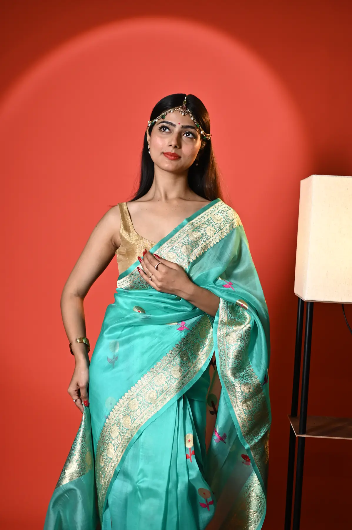 Organza Saree