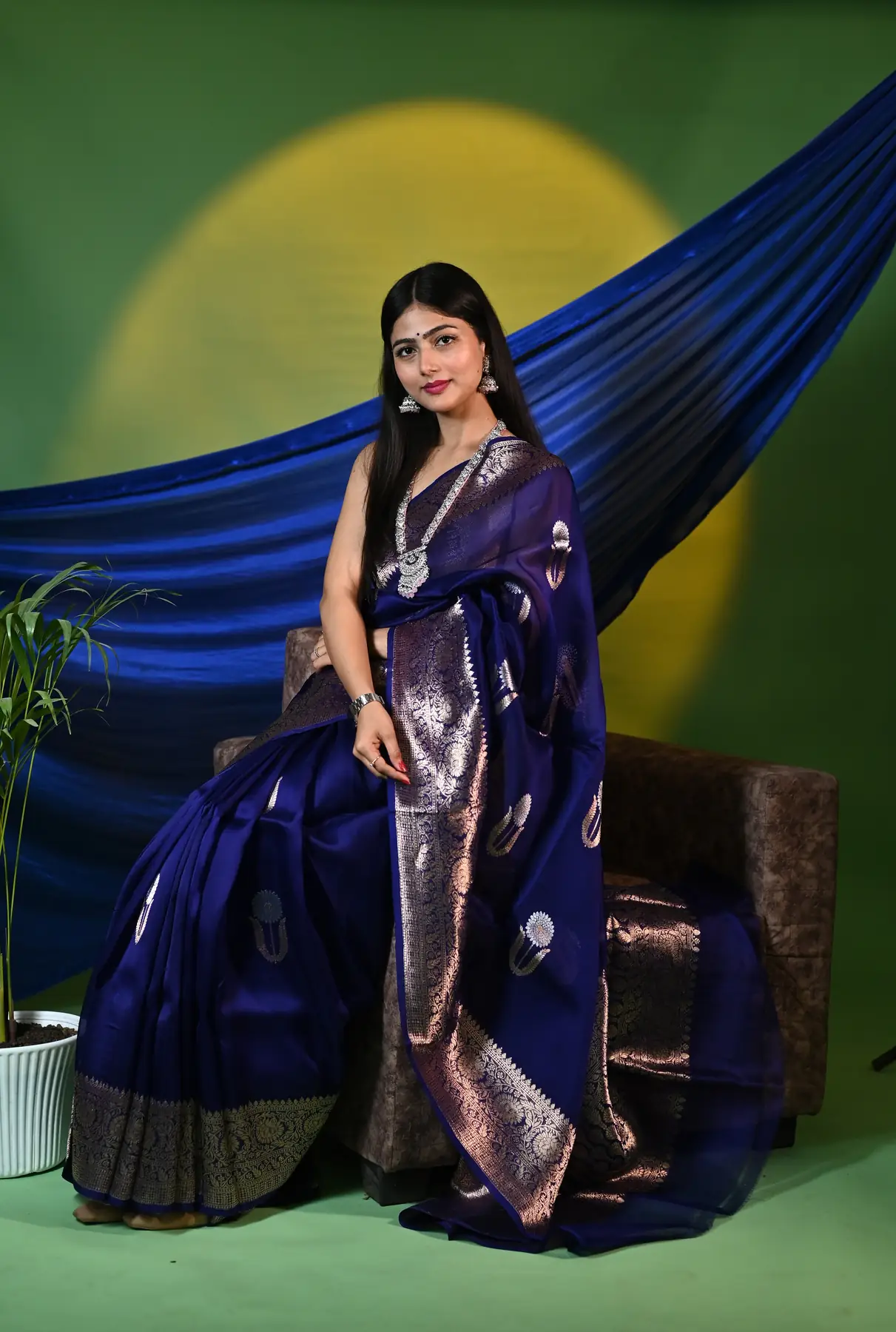 Handloom pure organza banarasi saree