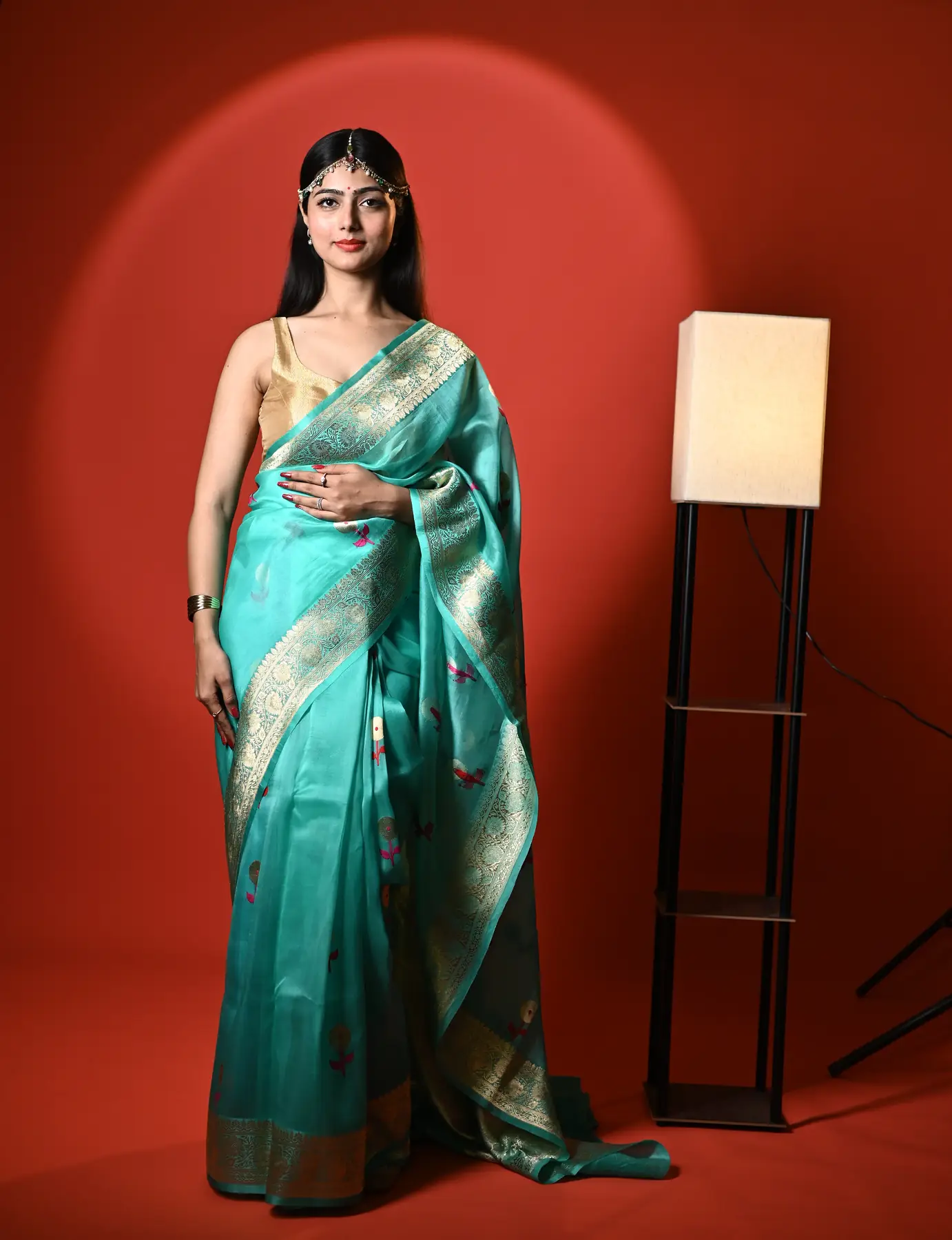 Handloom pure organza banarasi saree