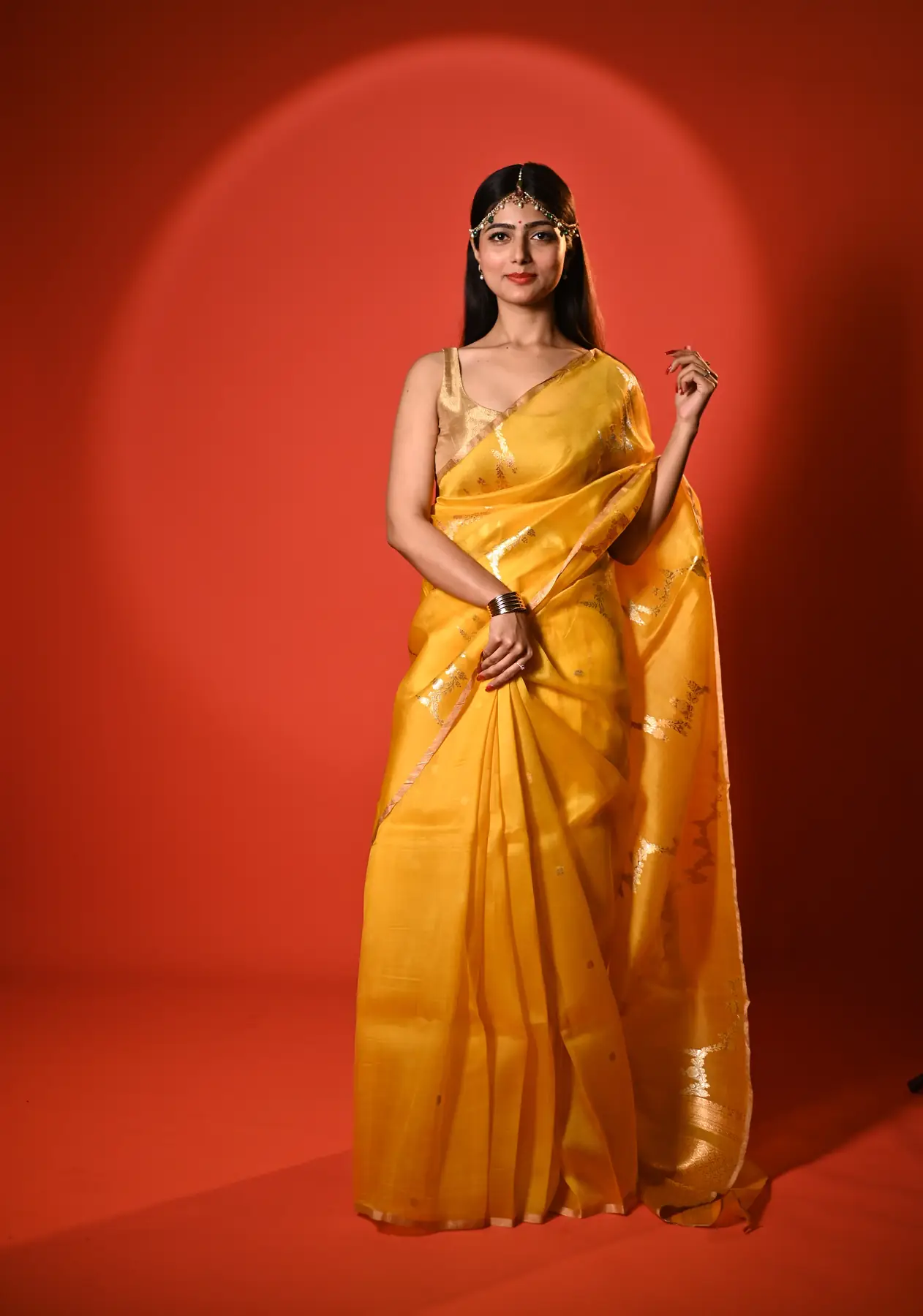Handloom pure organza banarasi saree